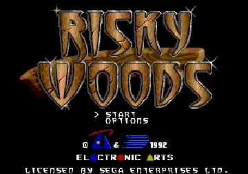 Risky Woods (USA, Europe) screen shot title